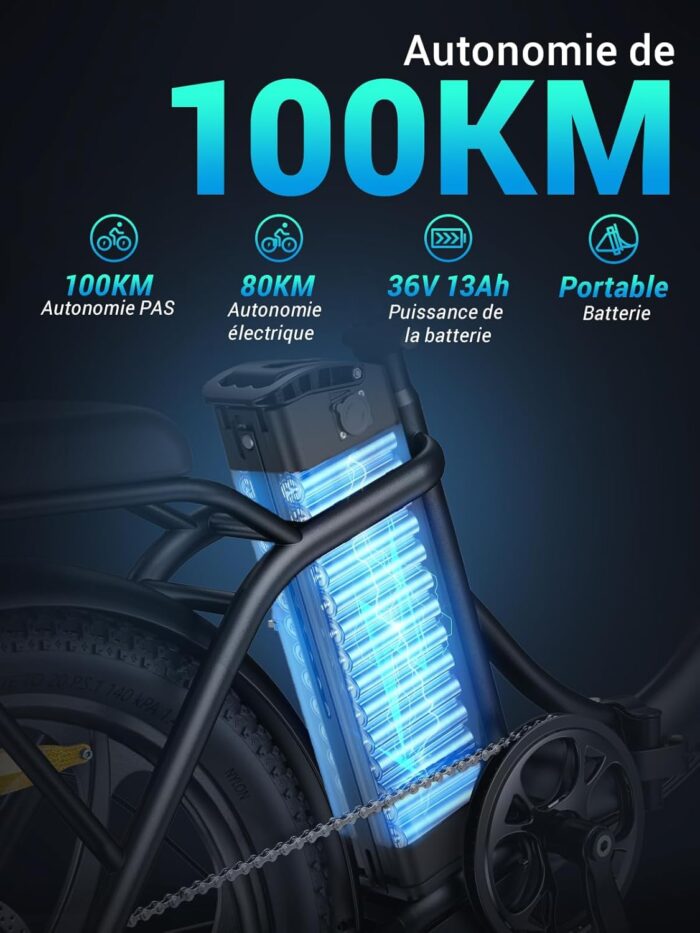 MilePort 1 Elektrofahrrad Für Erwachsene, 250W Klappbares Elektrofahrrad Mit 36V 13AH Abnehmbarem Akku, Geschwindigkeit 25KM/H und Reichweite 100KM, 20„* 3.0“ Fetter Reifen E-Bikes Für Stadtpendler