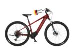 Fischer E-Bike MTB Montis 10.0i Ultimate Elektrofahrrad für Damen und Herren, RH 43, Mittelmotor 90 Nm, 36 V Akku