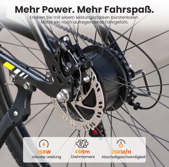 Touroll U1 E-Bikes, 26/29 Zoll E Bike Herren Damen mit Abnehmbarer 36V 13Ah Akku, 250W Motor MTB, E-Mountainbike mit 21 Gang, Elektrofahrrad Reichweite über 65KM, CST Off-Road-Reifen